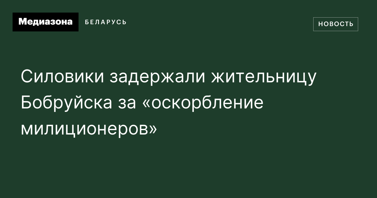 Силовики задержали жительницу Бобруйска за «оскорбление милиционеров»